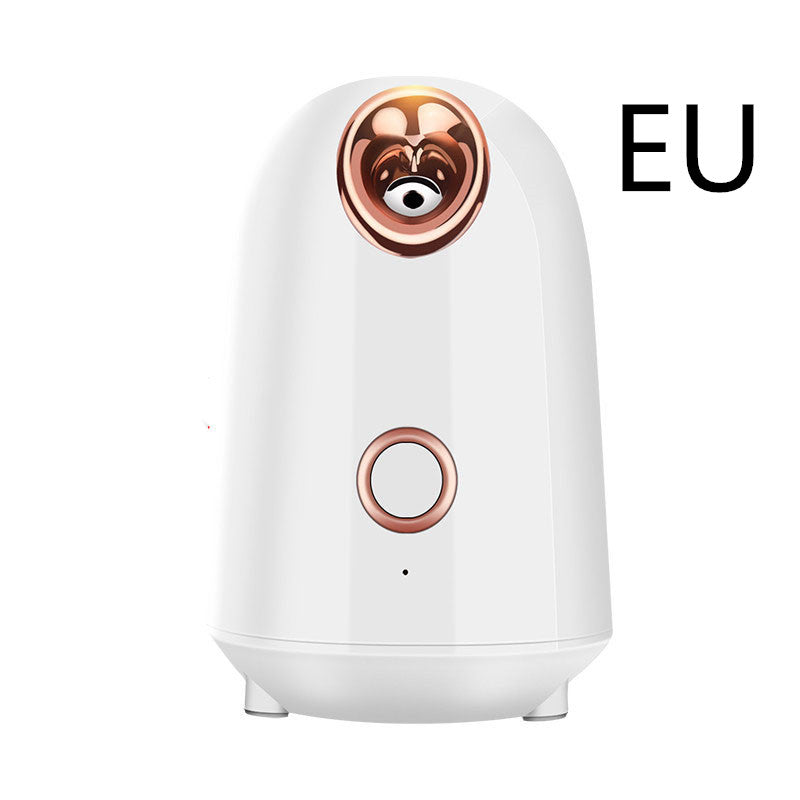 💨✨ Nano Thermal Spray Moisturizing Face Steamer | Facial Beauty Device