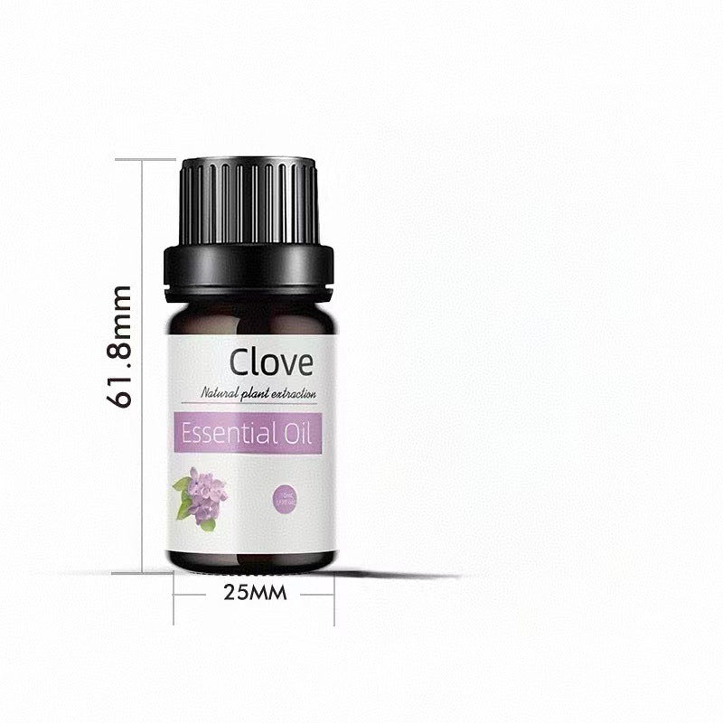 ✨ Preserved Rose & White Tea Botanical Body Care Essential Oil (10ml) 🌹🍃💧