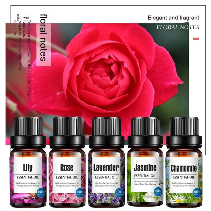 ✨ Water-Soluble Lavender Plant Aromatherapy Oil Set — Humidifier Essential Oils (8 Bottles) 🌿💧💜