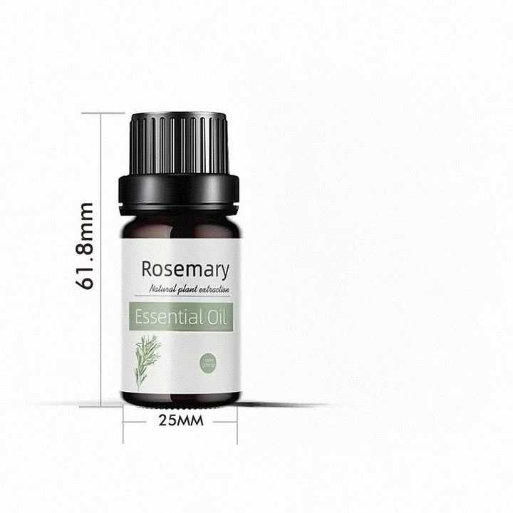 ✨ Preserved Rose & White Tea Botanical Body Care Essential Oil (10ml) 🌹🍃💧