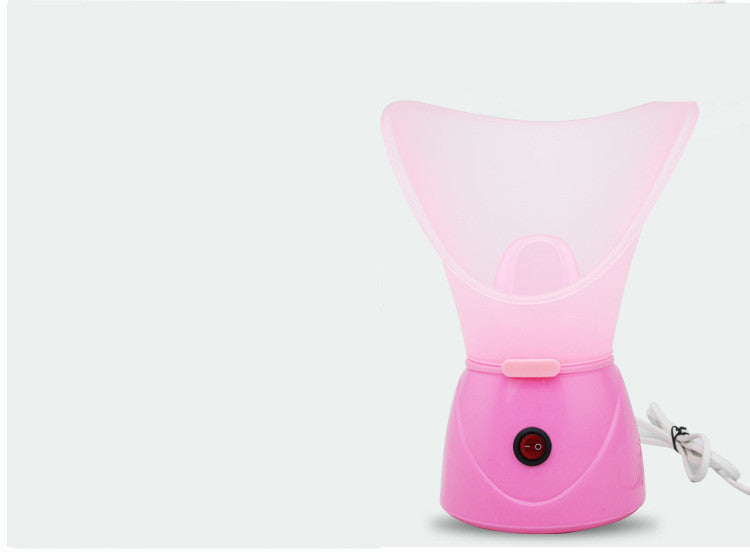 💨✨ Ion Hot Face Steamer | Facial Sprayer Steam Beauty Device
