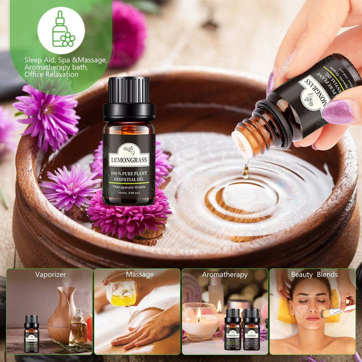 ✨ Plant Aromatherapy Essential Oil Set — 6 × 10ml (Lavender Blend) 🌿💧