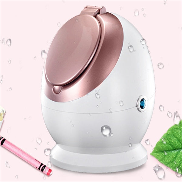 💆‍♀️🌫️ Nano Ionic Facial Steamer