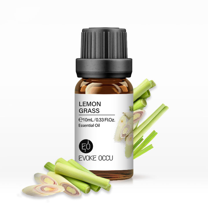 ✨ Aroma Essential Oil — Lavender Humidifier & Massage Oils Collection (10ml) 🌿💧