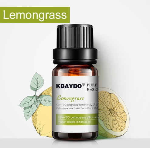 ✨  Aromatherapy Essential Oil & Humidifier Use — 10ml 🌿💧