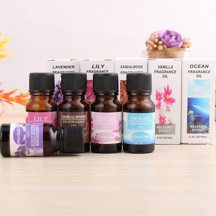 🌿 Aromatherapy Essential Oil for Humidifier (10ml)