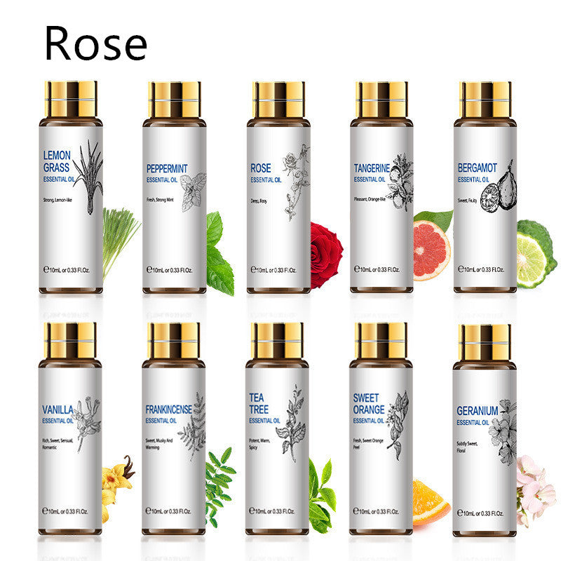 ✨ Plant Aromatherapy Essential Oil — Lavender, Rose & Tea Tree (10ml) 🌿💧