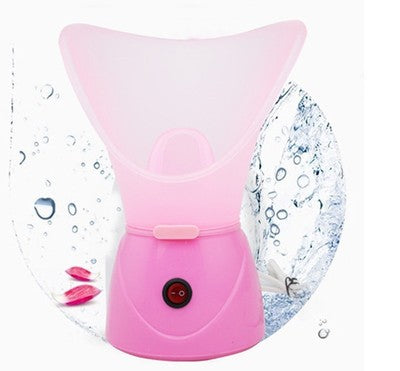 💨✨ Ion Hot Face Steamer | Facial Sprayer Steam Beauty Device