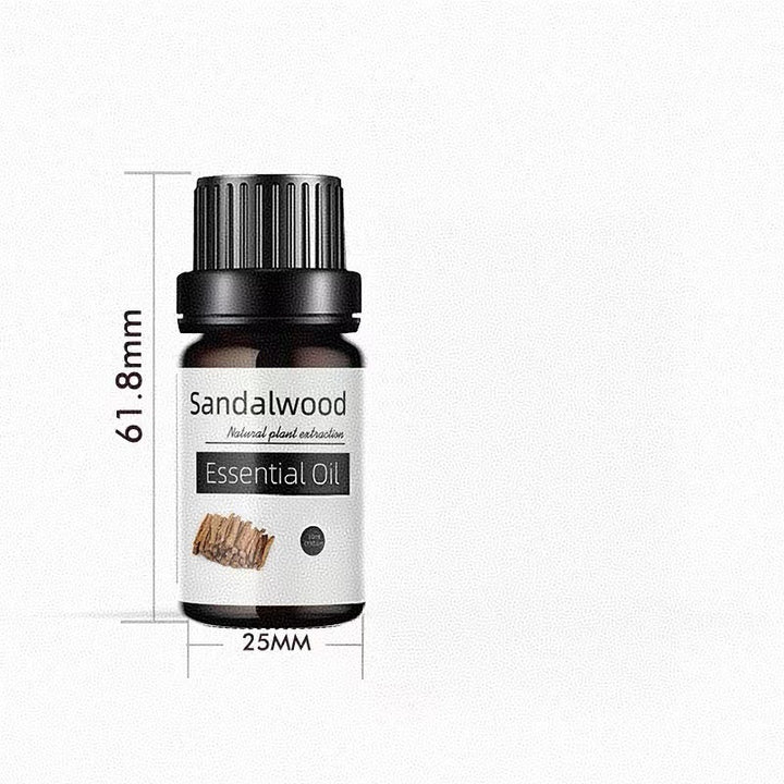 ✨ Preserved Rose & White Tea Botanical Body Care Essential Oil (10ml) 🌹🍃💧