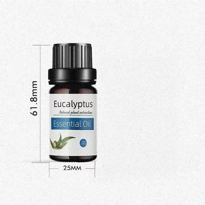 ✨ Preserved Rose & White Tea Botanical Body Care Essential Oil (10ml) 🌹🍃💧