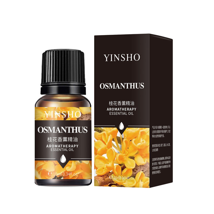 ✨ Water-Soluble Aromatherapy Essential Oil — Rose & Jasmine (Sleep & Soothing Blend) 🌹💜🌿