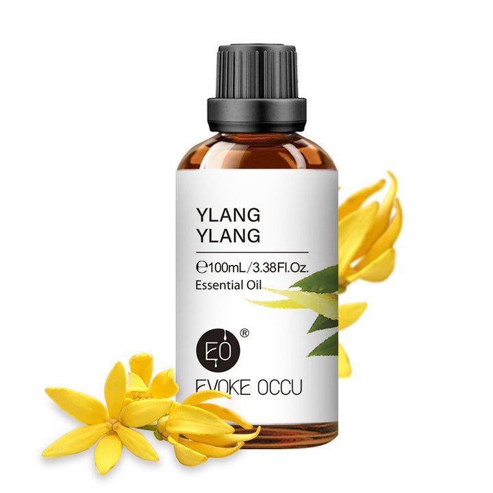 ✨ Household Aromatherapy Essential Oil — Multi-Use Fragrance Oil (100ml) 🕯️🌿