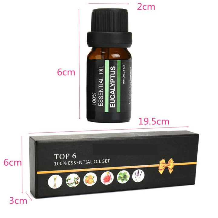 ✨ Aromatherapy Essential Oil Set — 6 × 10ml Massage & Diffuser Oils 🌿💧