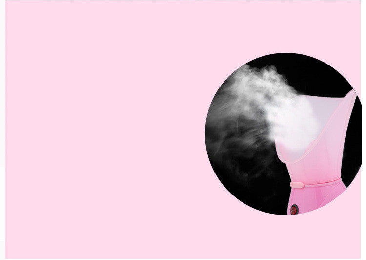 💨✨ Ion Hot Face Steamer | Facial Sprayer Steam Beauty Device
