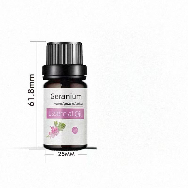 ✨ Preserved Rose & White Tea Botanical Body Care Essential Oil (10ml) 🌹🍃💧