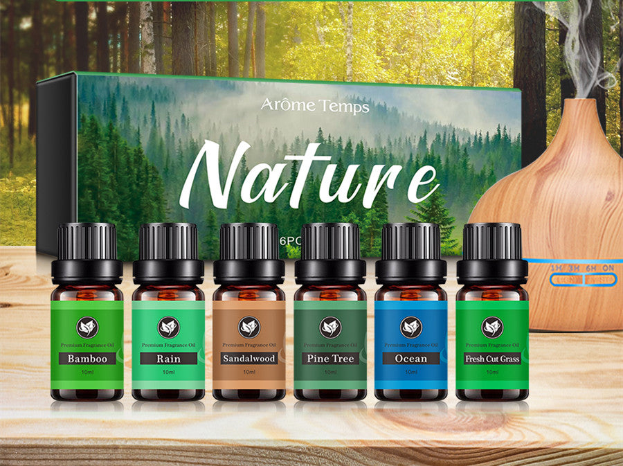 ✨ 16 Theme Atmosphere Flameless Essential Oil Set — 6 × 60ml 🌿💧