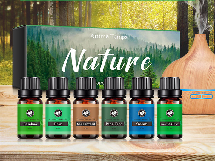 ✨ 16 Theme Atmosphere Flameless Essential Oil Set — 6 × 60ml 🌿💧