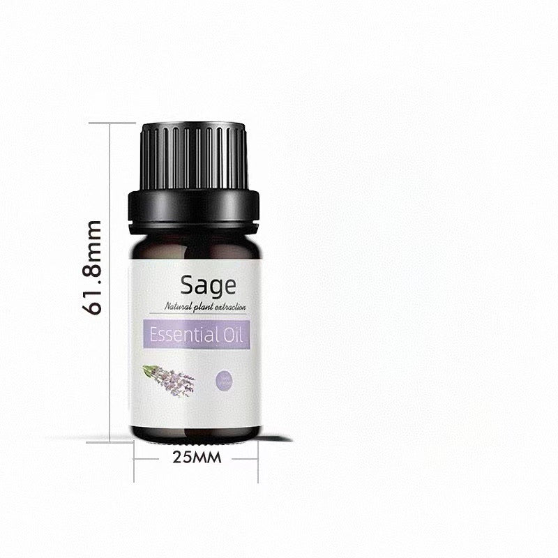✨ Preserved Rose & White Tea Botanical Body Care Essential Oil (10ml) 🌹🍃💧
