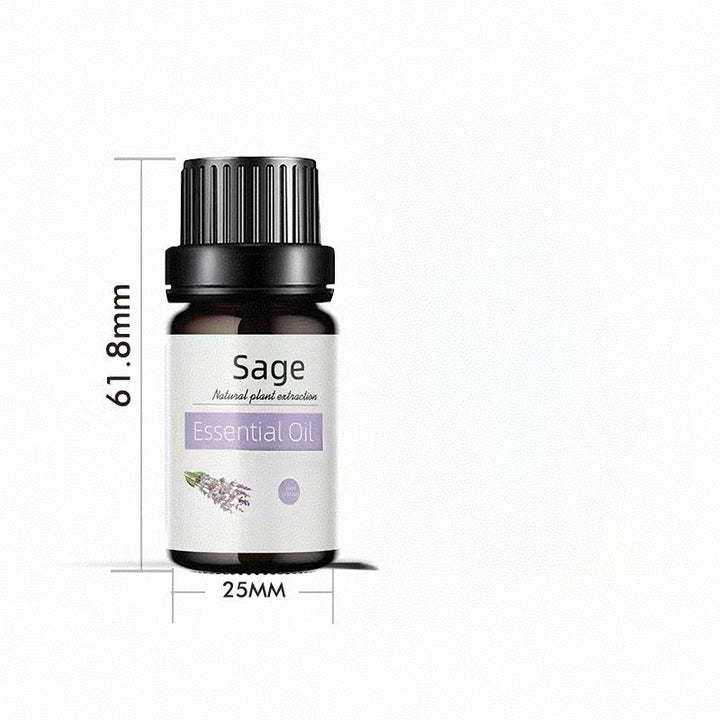 ✨ Preserved Rose & White Tea Botanical Body Care Essential Oil (10ml) 🌹🍃💧