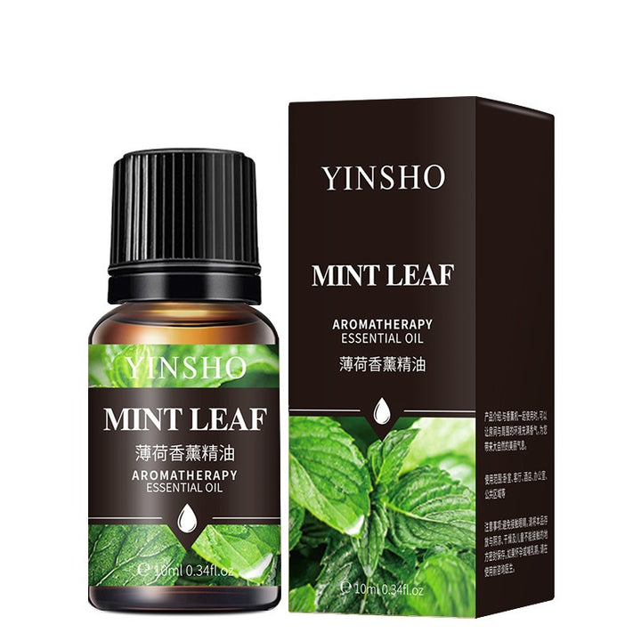 ✨ Water-Soluble Aromatherapy Essential Oil — Rose & Jasmine (Sleep & Soothing Blend) 🌹💜🌿