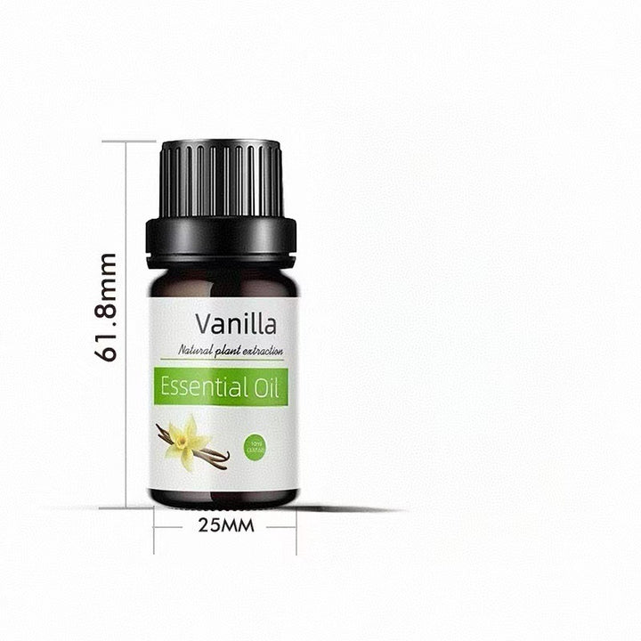 ✨ Preserved Rose & White Tea Botanical Body Care Essential Oil (10ml) 🌹🍃💧