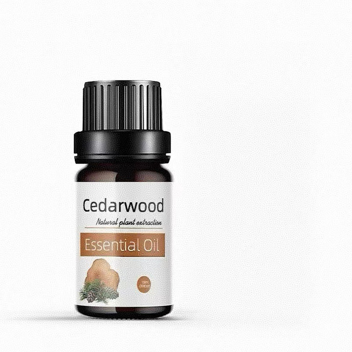 ✨ Preserved Rose & White Tea Botanical Body Care Essential Oil (10ml) 🌹🍃💧