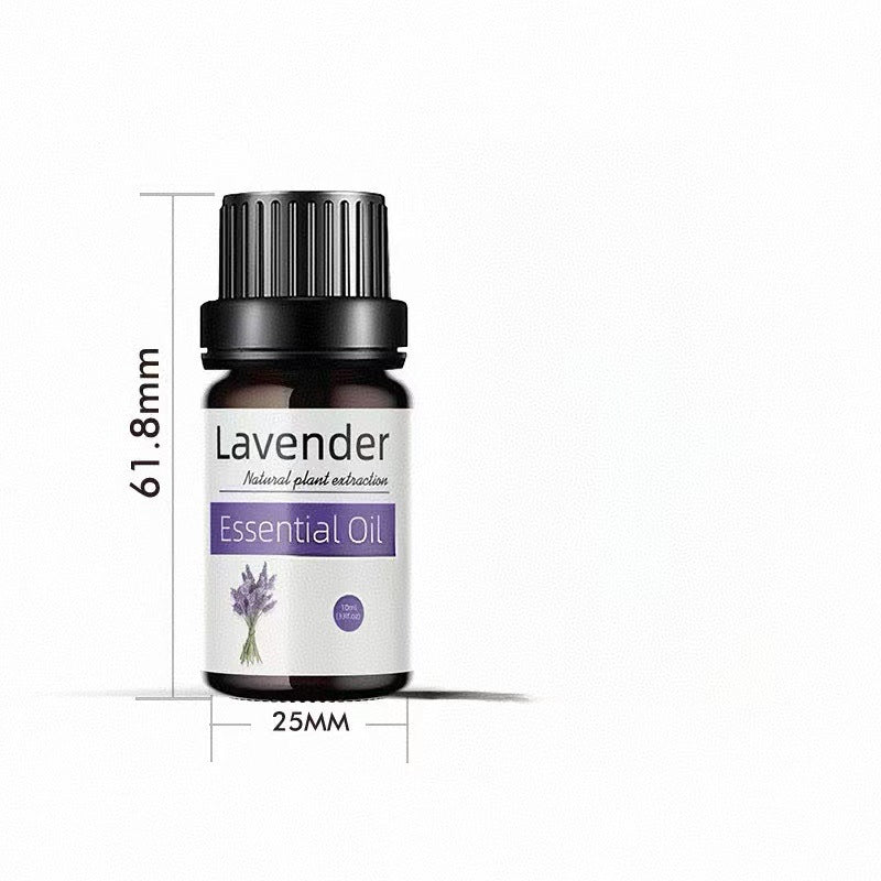✨ Preserved Rose & White Tea Botanical Body Care Essential Oil (10ml) 🌹🍃💧