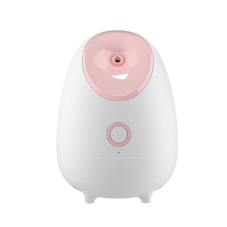 🍃💨 Household Fruit & Vegetable Spray Moisturizing Facial Steamer | Hot Mist Beauty Device