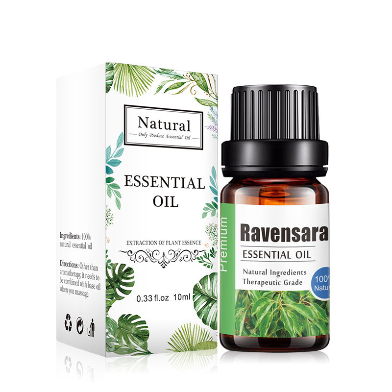 ✨ Aromatherapy Essential Oil — Lavender & Multi-Blend Fragrance (10ml) 🌿💧