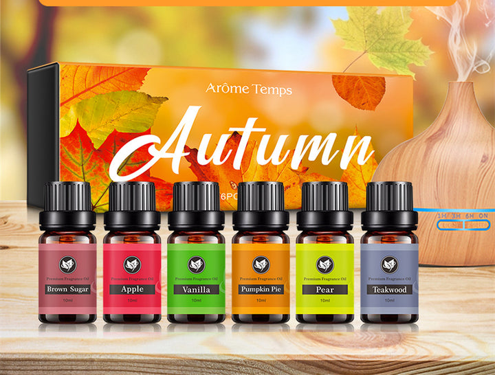 ✨ 16 Theme Atmosphere Flameless Essential Oil Set — 6 × 60ml 🌿💧