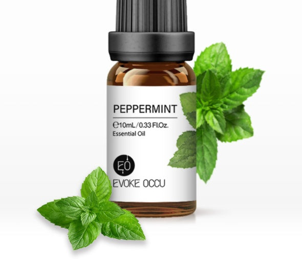✨ Aroma Essential Oil — Lavender Humidifier & Massage Oils Collection (10ml) 🌿💧