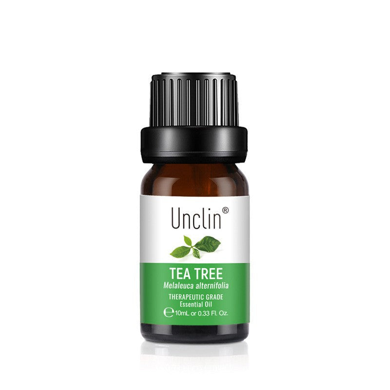 ✨ Aromatherapy Plant Diffuse Square Oil — 10ml Essential Oil 🌿💧