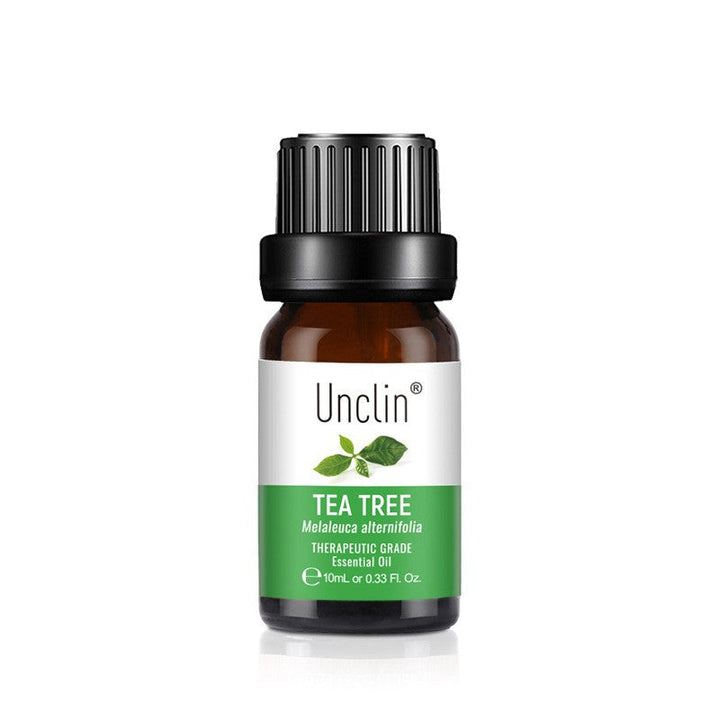 ✨ Aromatherapy Plant Diffuse Square Oil — 10ml Essential Oil 🌿💧