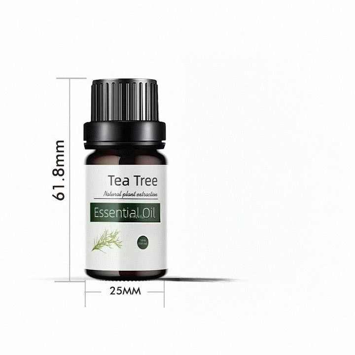 ✨ Preserved Rose & White Tea Botanical Body Care Essential Oil (10ml) 🌹🍃💧