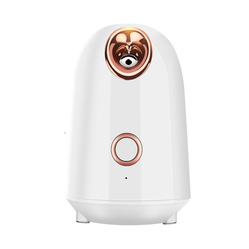 💨✨ Nano Thermal Spray Moisturizing Face Steamer | Facial Beauty Device