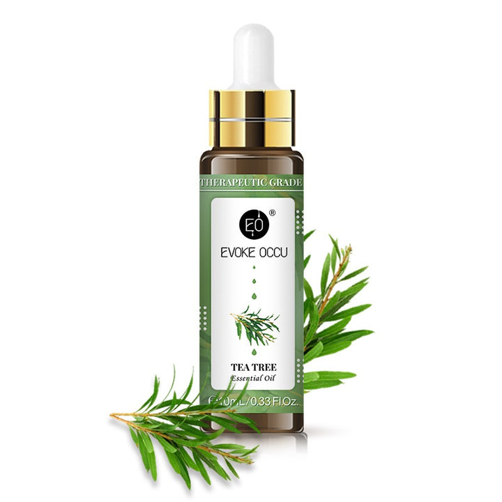✨ Rose Lavender Aromatherapy Essential Oil with Dropper — 10ml 🌿💧