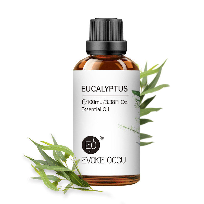 ✨ Household Aromatherapy Essential Oil — Multi-Use Fragrance Oil (100ml) 🕯️🌿