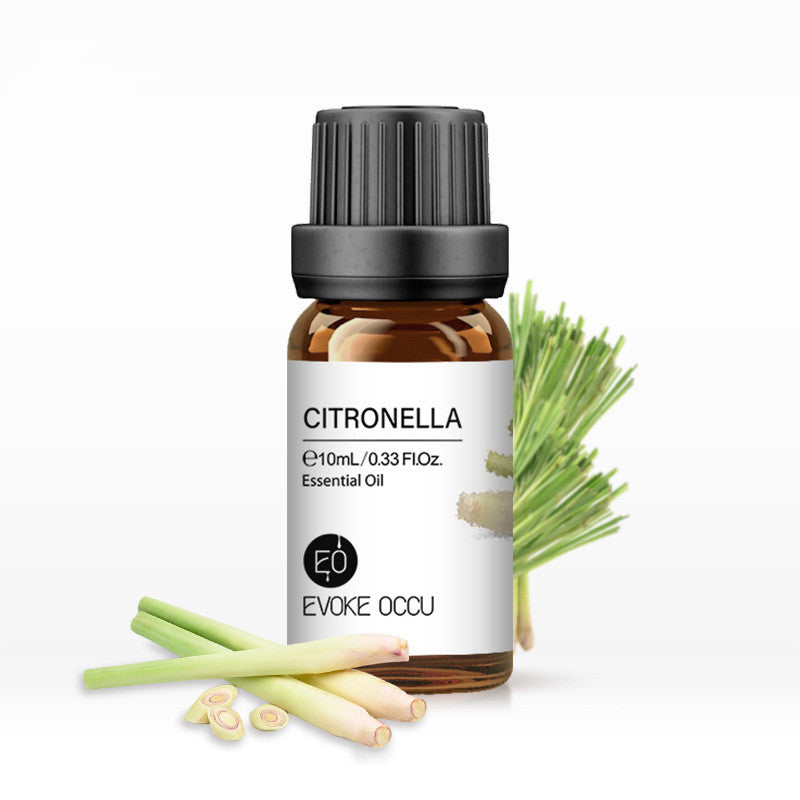 ✨ Aroma Essential Oil — Lavender Humidifier & Massage Oils Collection (10ml) 🌿💧