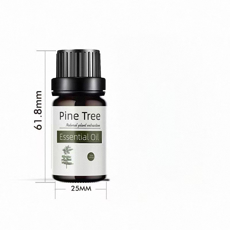 ✨ Preserved Rose & White Tea Botanical Body Care Essential Oil (10ml) 🌹🍃💧