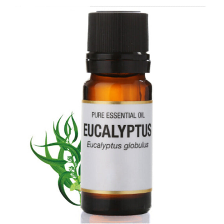 ✨ Eucalyptus Essential Oil — Moisturizing & Aromatherapy Oil (10ml) 🌿💧