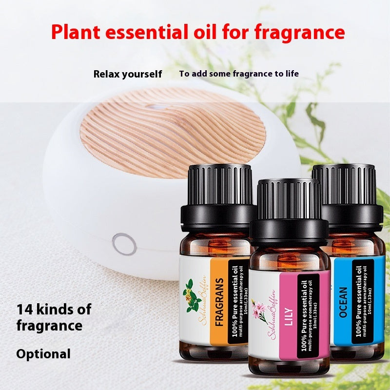 ✨ Water-Soluble Aromatherapy Oil — Lavender & Rose (10ml) 🌿🌸