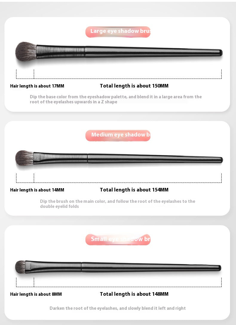 ✨ 6-Piece Eyeshadow Brush Set — Beginner Friendly 💄