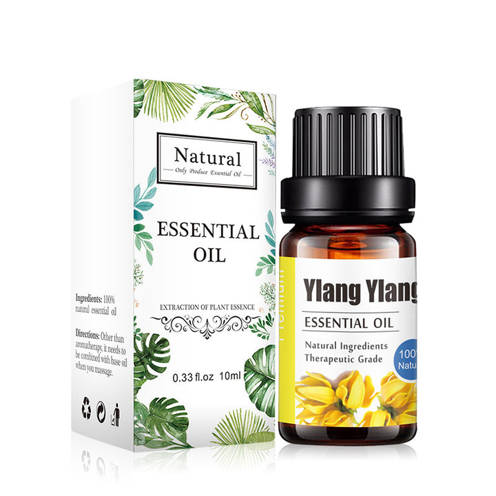 ✨ Aromatherapy Essential Oil — Lavender & Multi-Blend Fragrance (10ml) 🌿💧