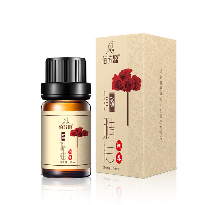 ✨ Artemisia (Wormwood) Body Massage Organic Essential Oil — Sample Size 🌿💧