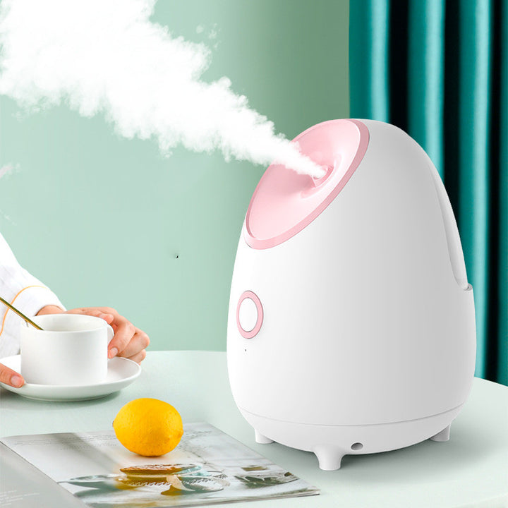 🍃💨 Household Fruit & Vegetable Spray Moisturizing Facial Steamer | Hot Mist Beauty Device