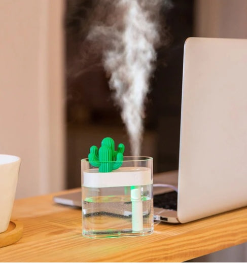 🌵💧 Transparent Landscape Cactus Humidifier | Portable Mini USB Mist Diffuser