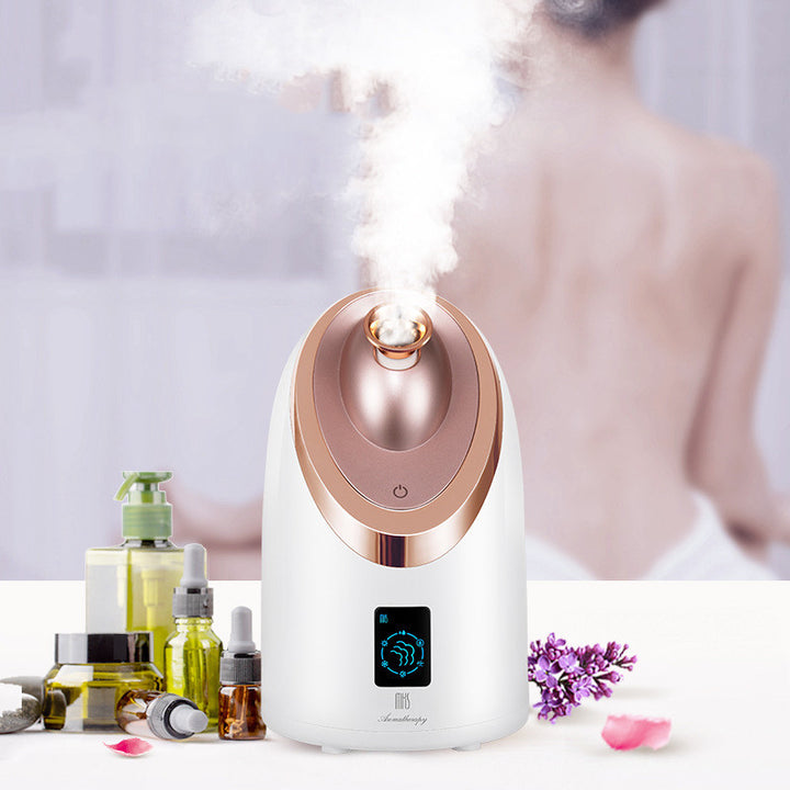 💨✨ Facial Steamer Nano Spray Humidifier | Hot & Cold Mist Skin Moisturizing Device