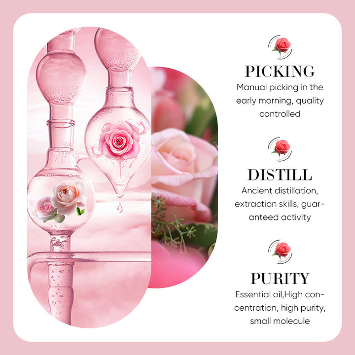 ✨ Rose Essential Oil — Moisturizing & Brightening Facial Essence 🌹💧