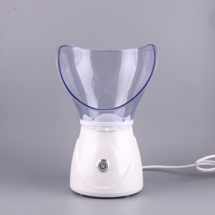 💨💧 Humidifying & Hydrating Atomized Steam Face Tester | Nano Facial Steamer
