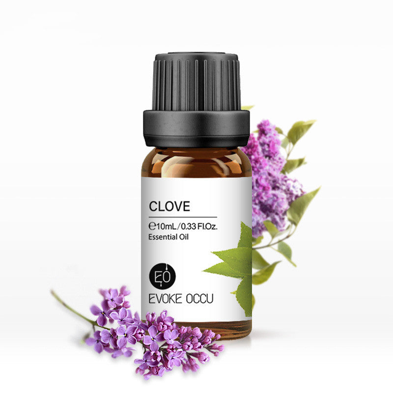 ✨ Aroma Essential Oil — Lavender Humidifier & Massage Oils Collection (10ml) 🌿💧